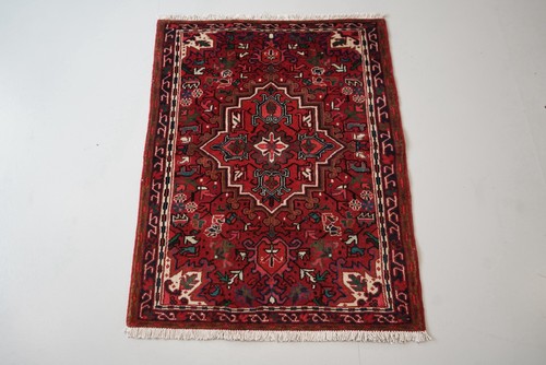 Handmade oriental wool rug - oriental,
