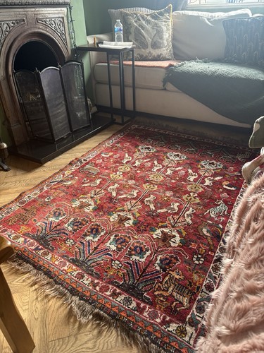 Hand knotted persian rug - knotted,