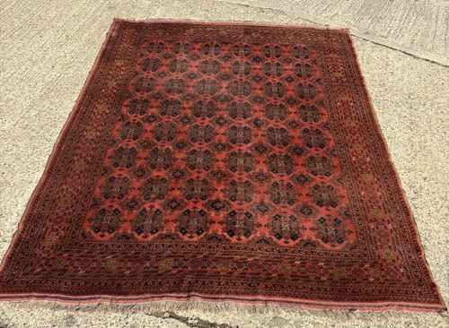 Genuine hand knotted afghan - hand-knotted,