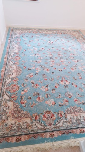 Elegant persian rug modern - persian,
